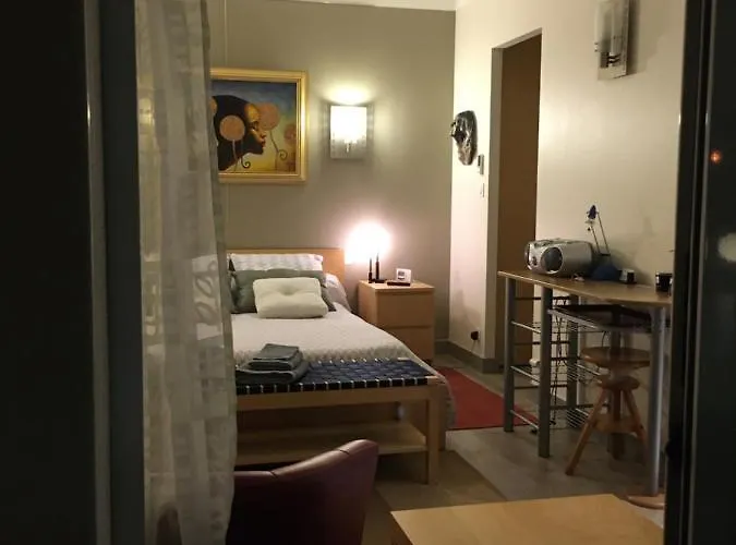 La Des Amis 4* Parthenay